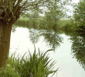 polder hoofdkanaal