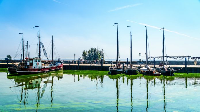 Blauwalg haven Urk_Harry Beugelink SLASH shutterstock_589294931