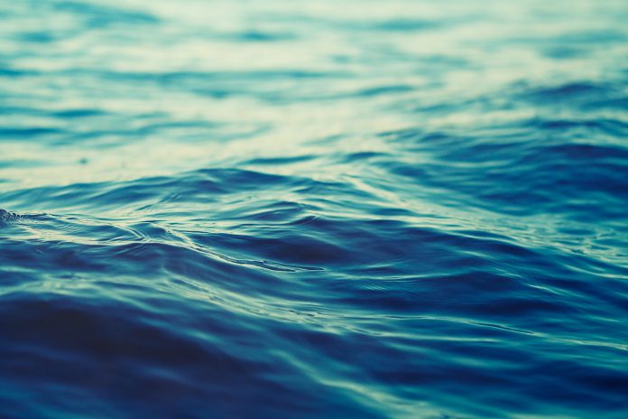 Water_Door mycteria_shutterstock_232928557