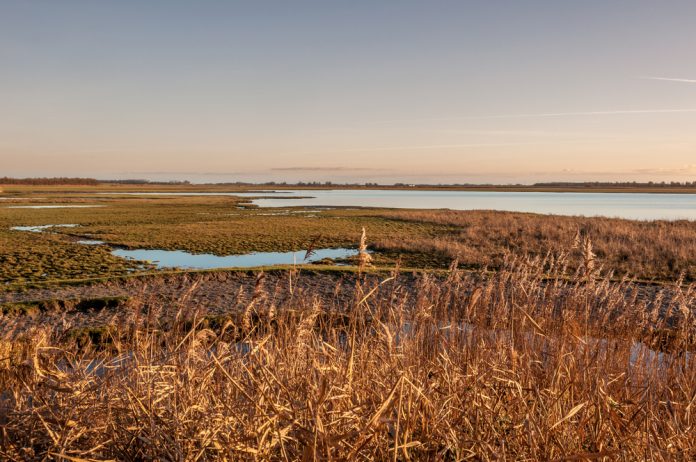 Lauwersmeer_Hindrik Johannes de Groot_shutterstock_529823332