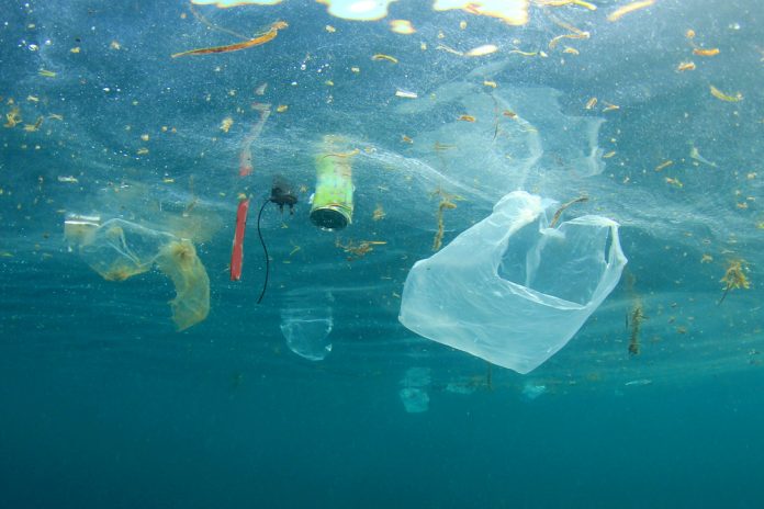 Afval zee Plastic Soup_ Rich Carey_shutterstock_556842991