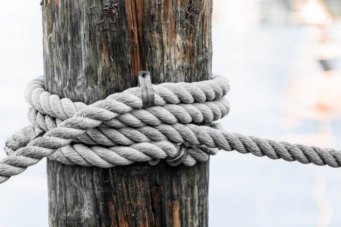 knoop_Elena Elisseeva_shutterstock_359437439