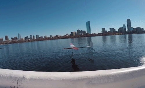 albatross robot