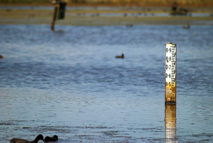 Laagwater droogte meten_Door Christian Jude Alexander_shutterstock_588724421