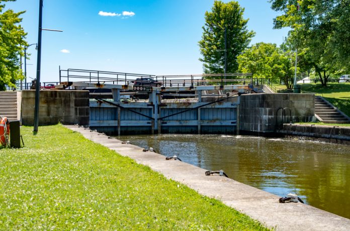 Sluis_Bob C_shutterstock_1126027031