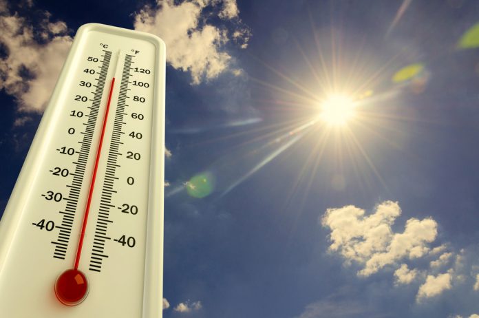 Warm weer_VladisChern SLASH shutterstock_692692216