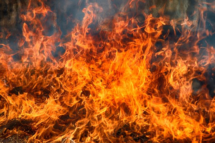 Brand Vuur _ Maksimilian_shutterstock_1083821837