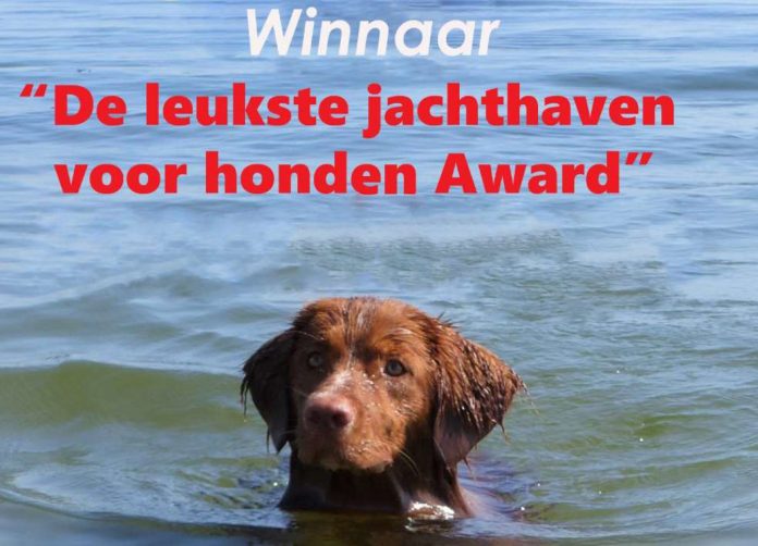 hondenaanboord winnaar