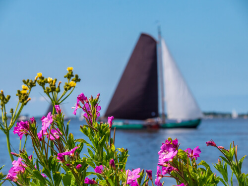 Skutsje_doorTom Goossens_shutterstock_1201102546