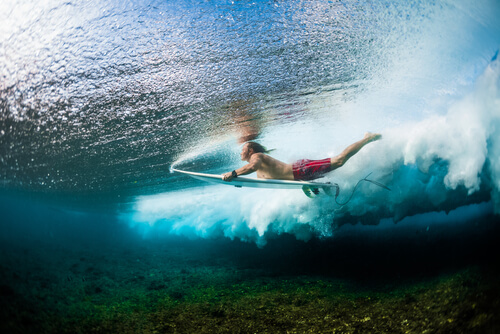 Surfer_Door Dudarev Mikhail_shutterstock_785902672