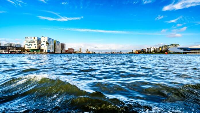 IJ_ Harry Beugelink_shutterstock_1206510976