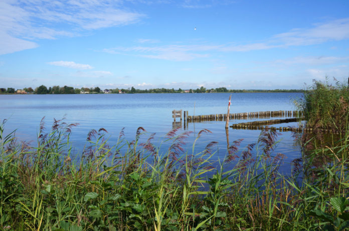 Reeuwijk_ Dafinchi_shutterstock_1175764468