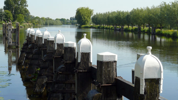 Drecht_Gerrit Bunt SLASH shutterstock_665191114_ALLEEN REDACTIONEEL
