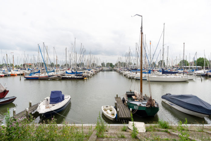 HavenHoorn_TeamDAF_alleenRedactioneel_shutterstock_1500571679