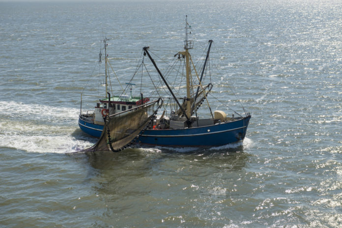Vissersboot Waddenzee_Tonko Oosterink SLASH shutterstock_273038240