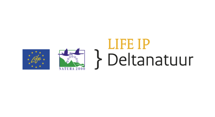 LifeIP-logo_Combi