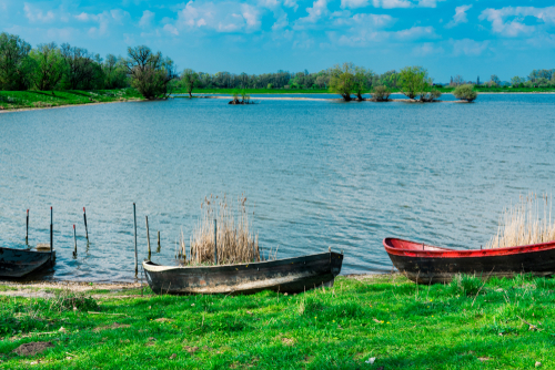 Maneswaard_Poleijphoto_shutterstock_1403869322