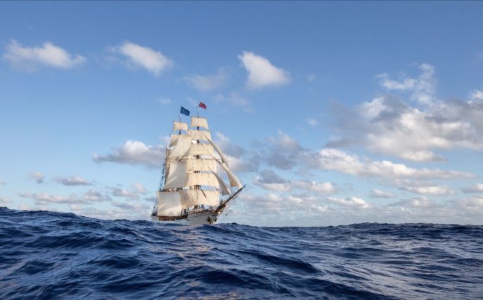 Bark Europa