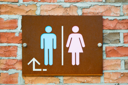 Toilet_agarose_shutterstock_1357699571