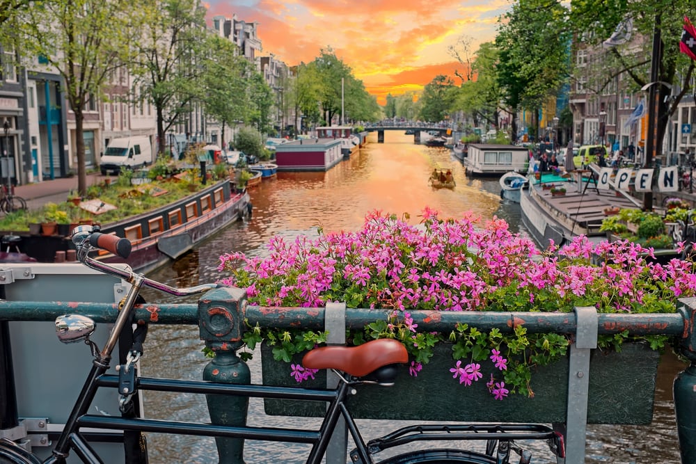 Busje met toeristen rijdt in Prinsengracht Amsterdam - BootAanBoot.nl - dagelijks watersportnieuws v