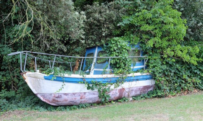 Wreck,Of,An,Abandoned,Boat,And,The,Vegetation,That,Covers