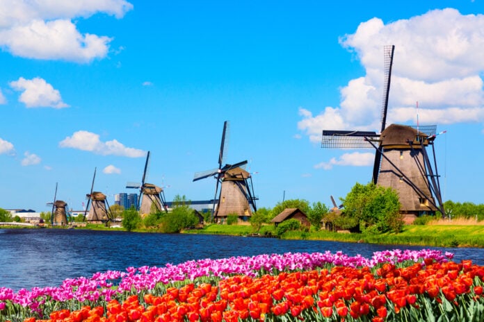 Colorful,Spring,Landscape,In,Netherlands,,Europe.,Famous,Windmills,In,Kinderdijk