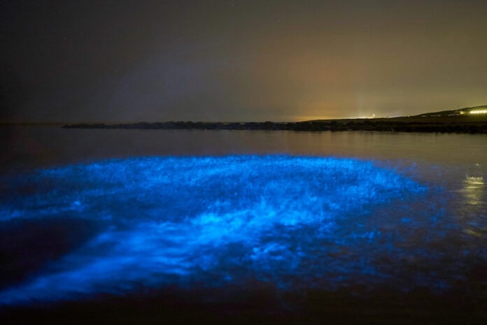 Seasparkle,In,Holland