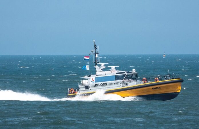 Schermafbeelding 2023-01-17 110407