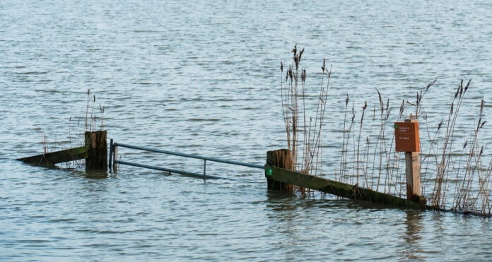 Hardinxveld,,Netherlands,-,2018-01-14:,Gate,With,Reeds,And,Sign,Saying Water bij dijk